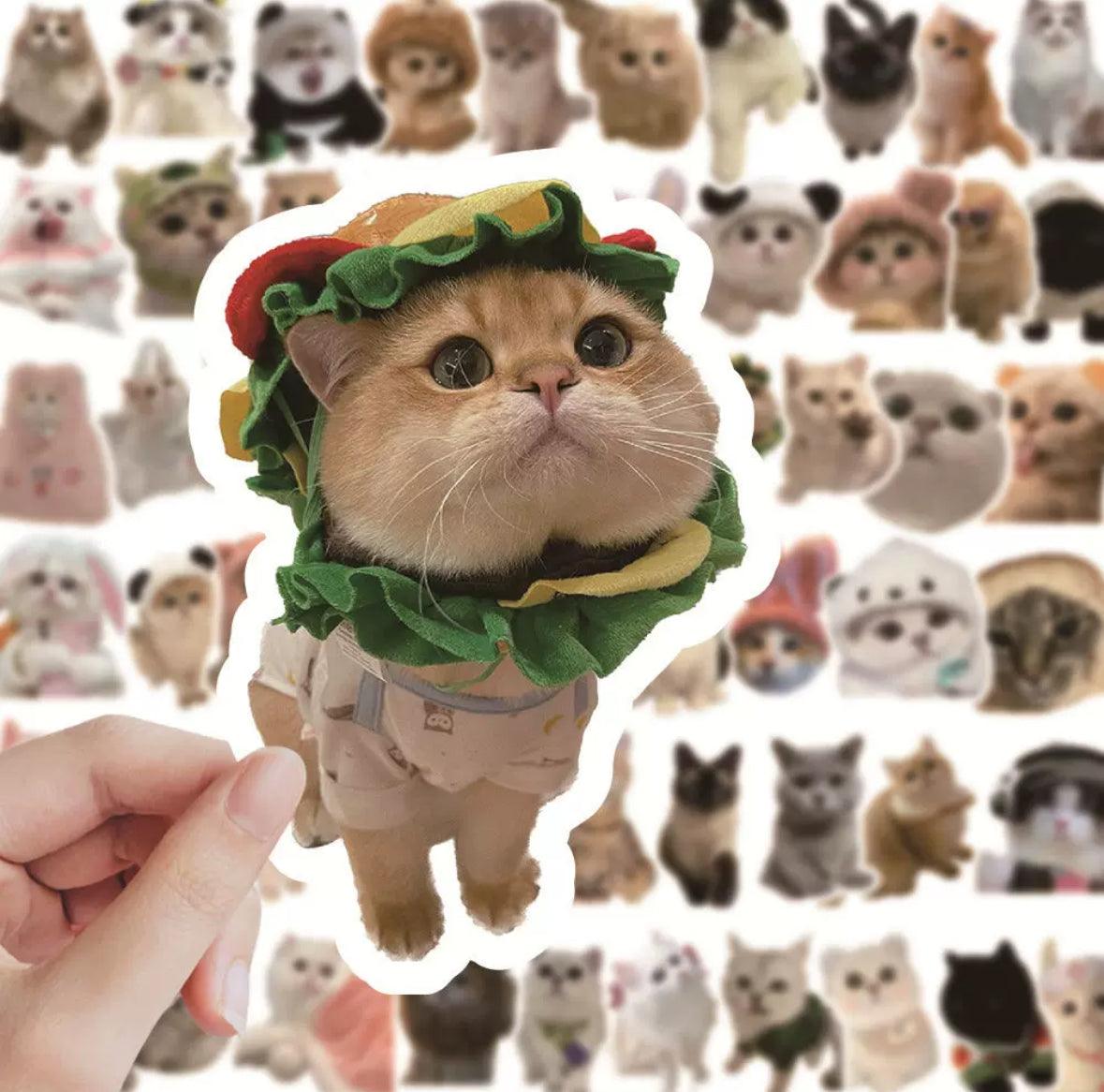 cat sticker